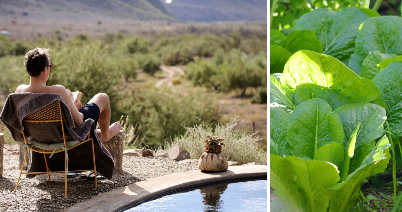 Numbi Valley Farm, De Rust (TravelGround.com)