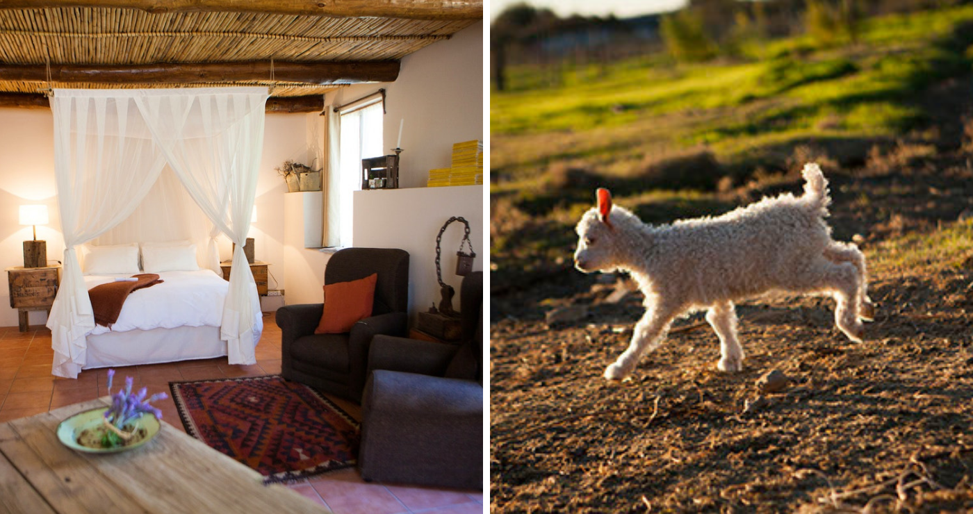 Karoo Khaya, Prince Albert (TravelGround.com and the Karoo Khaya website)