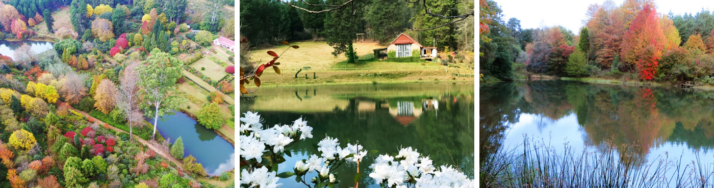 Photos: Sequoia Garden Retreat (Travelground)