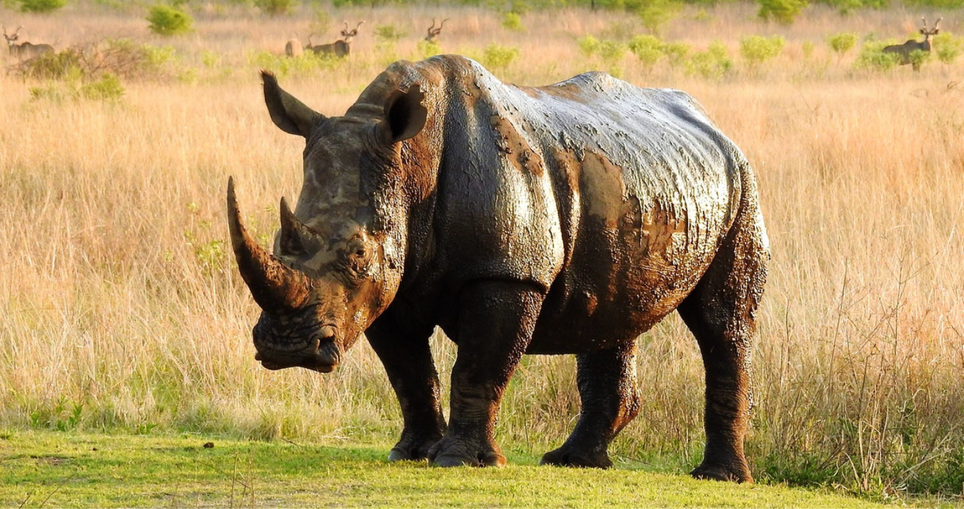 Marulani Bush Lodge | TravelGround