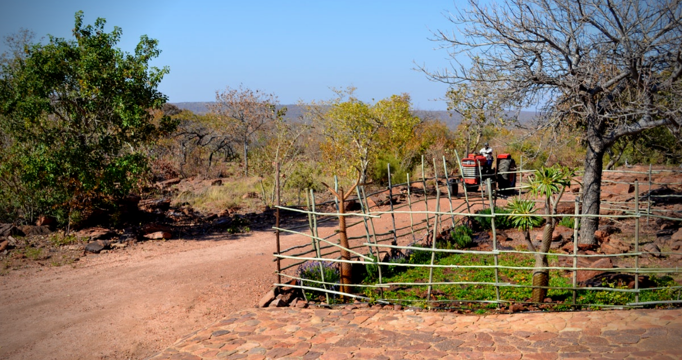 Mountain View Bush Lodge
